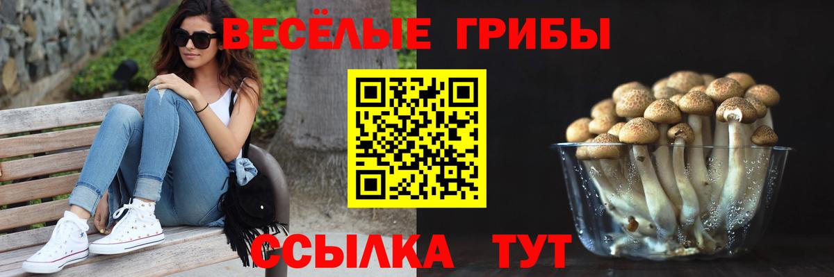 Галлюциногенные грибы прущие грибы Донской